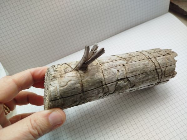 A - Ambiguously determined, we are not sure