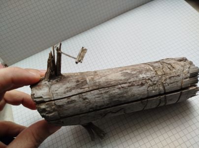 A - Ambiguously determined, we are not sure