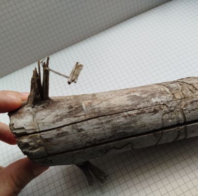 A - Ambiguously determined, we are not sure