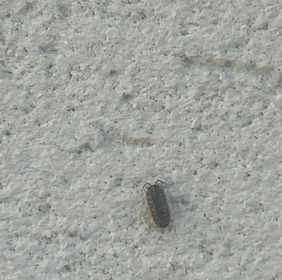 A - nie je v datab&aacute;ze