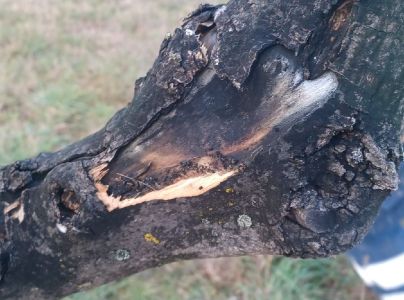 A - nie je v datab&aacute;ze