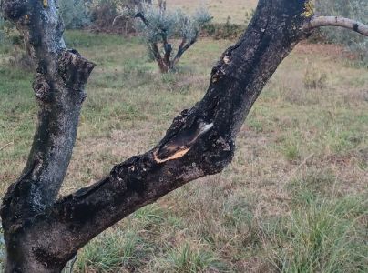 A - nie je v datab&aacute;ze