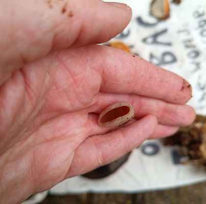 A - nejednoznačne určen&yacute;, nie sme si ist&iacute;