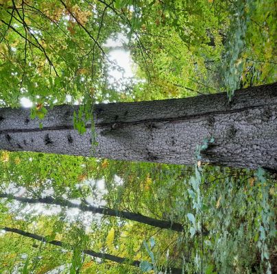 A - nie je v datab&aacute;ze