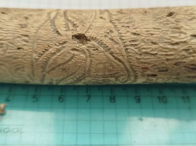 A - Ambiguously determined, we are not sure