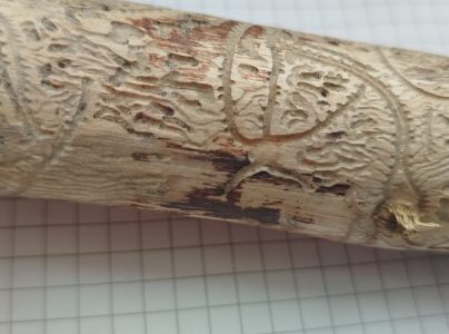 A - Ambiguously determined, we are not sure