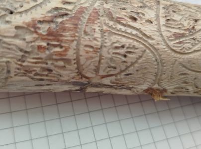 A - Ambiguously determined, we are not sure