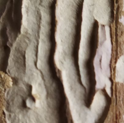 A - nie je v datab&aacute;ze