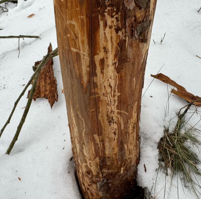 A - nejednoznačne určený, nie sme si istí