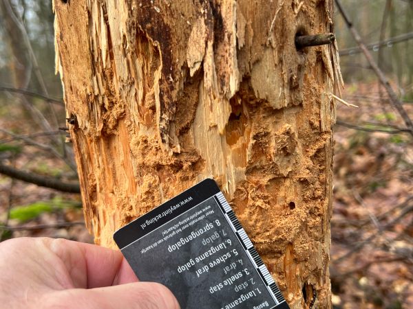 A - Ambiguously determined, we are not sure