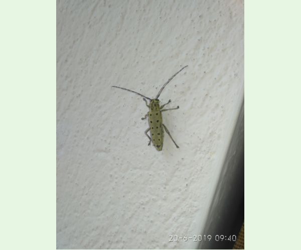 A - nie je v databáze