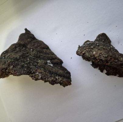 A - nejednoznačne určený, nie sme si istí