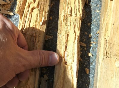 A - Ambiguously determined, we are not sure