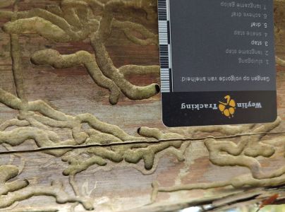 A - Ambiguously determined, we are not sure