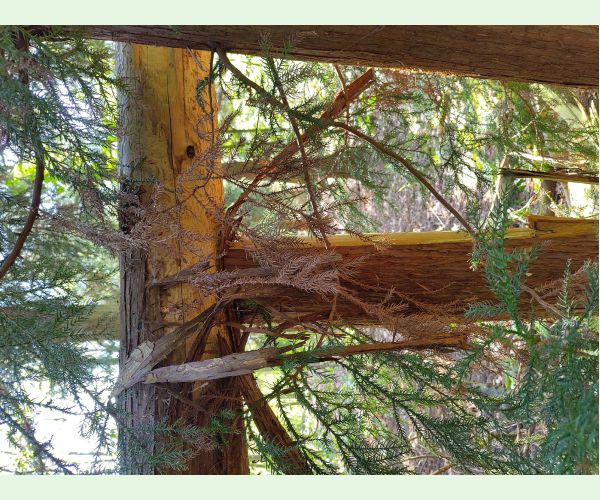 A - Ambiguously determined, we are not sure