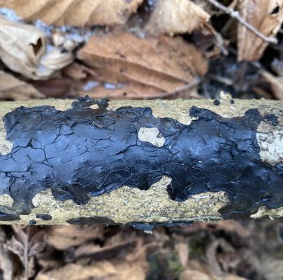 A - nejednoznačne určený, nie sme si istí