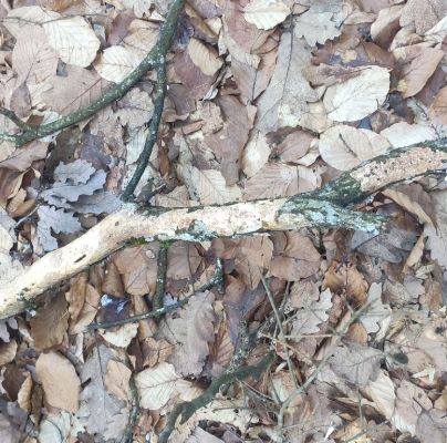 A - nejednoznačne určený, nie sme si istí