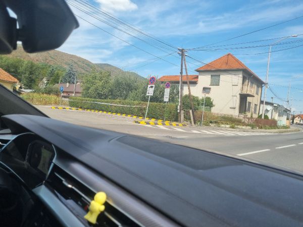 Heat, drought and bark burn