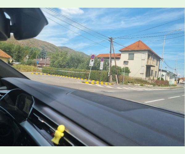 Heat, drought and bark burn