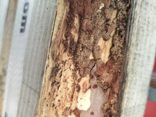 A - Ambiguously determined, we are not sure