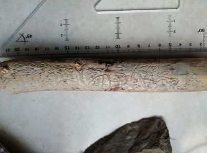 A - Ambiguously determined, we are not sure