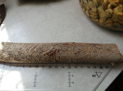 A - Ambiguously determined, we are not sure