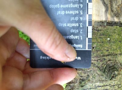 A - Ambiguously determined, we are not sure