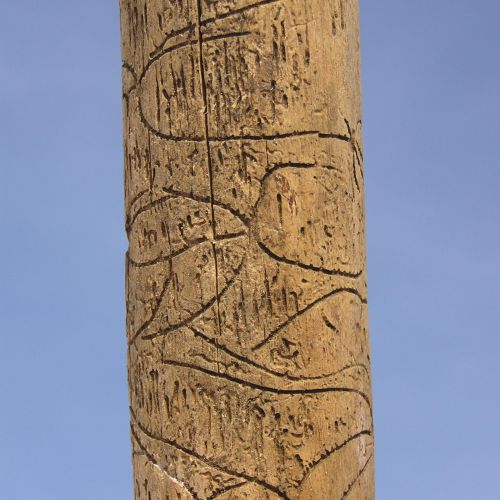 Pityophthorus pityographus