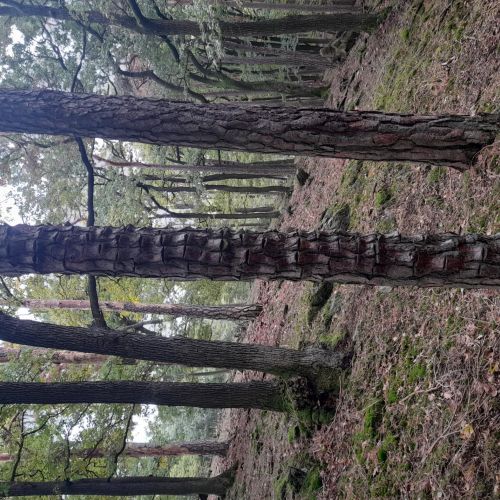 A - nejednoznačne určený, nie sme si istí