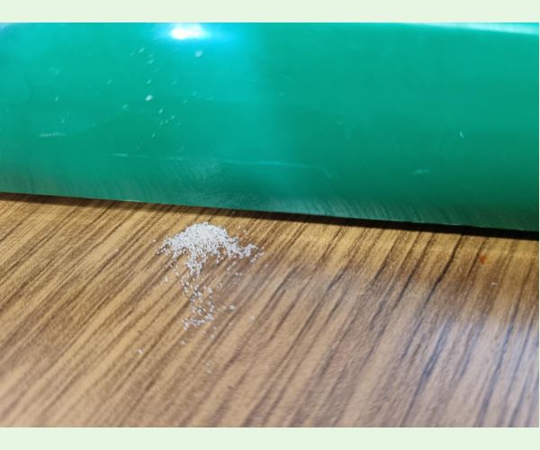 Treptoplatypus oxyurus