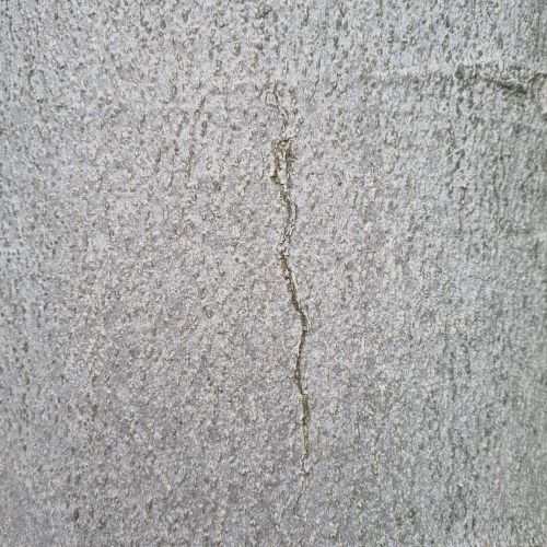 Ectoedemia liebwerdella