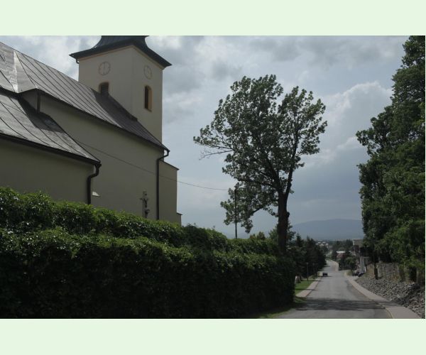 Perenniporia fraxinea