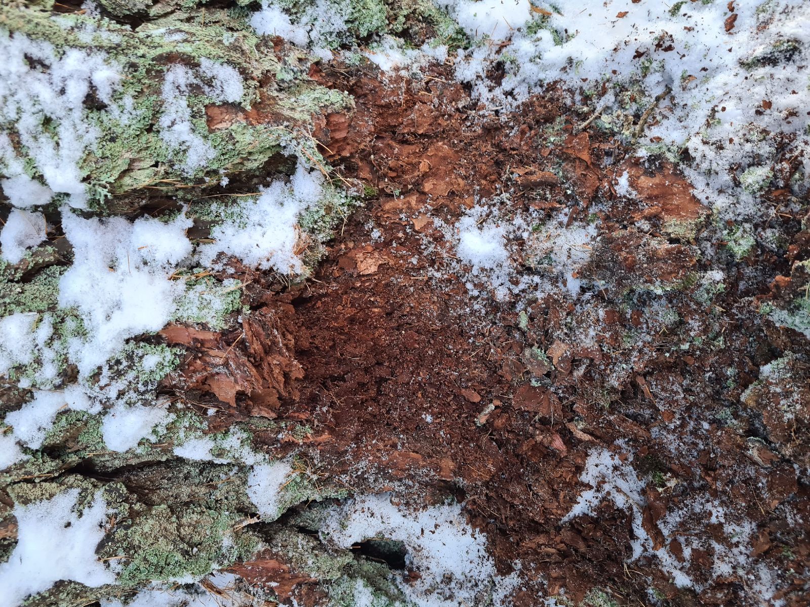 A - nejednoznačne určený, nie sme si istí