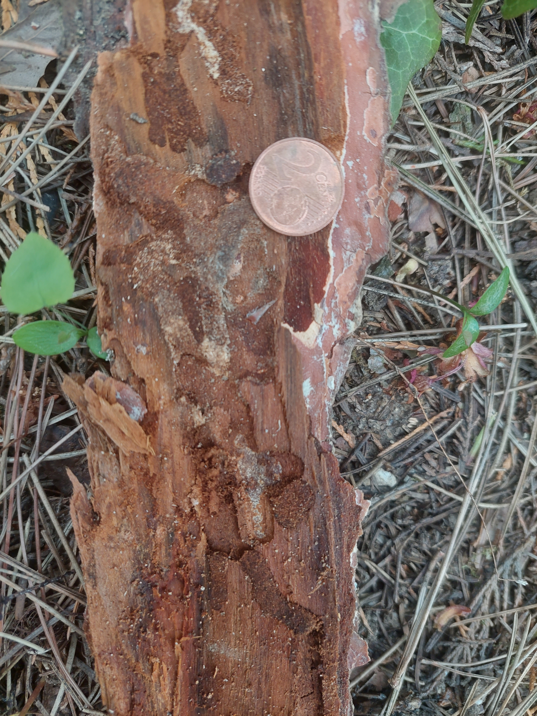 A - nejednoznačne určený, nie sme si istí