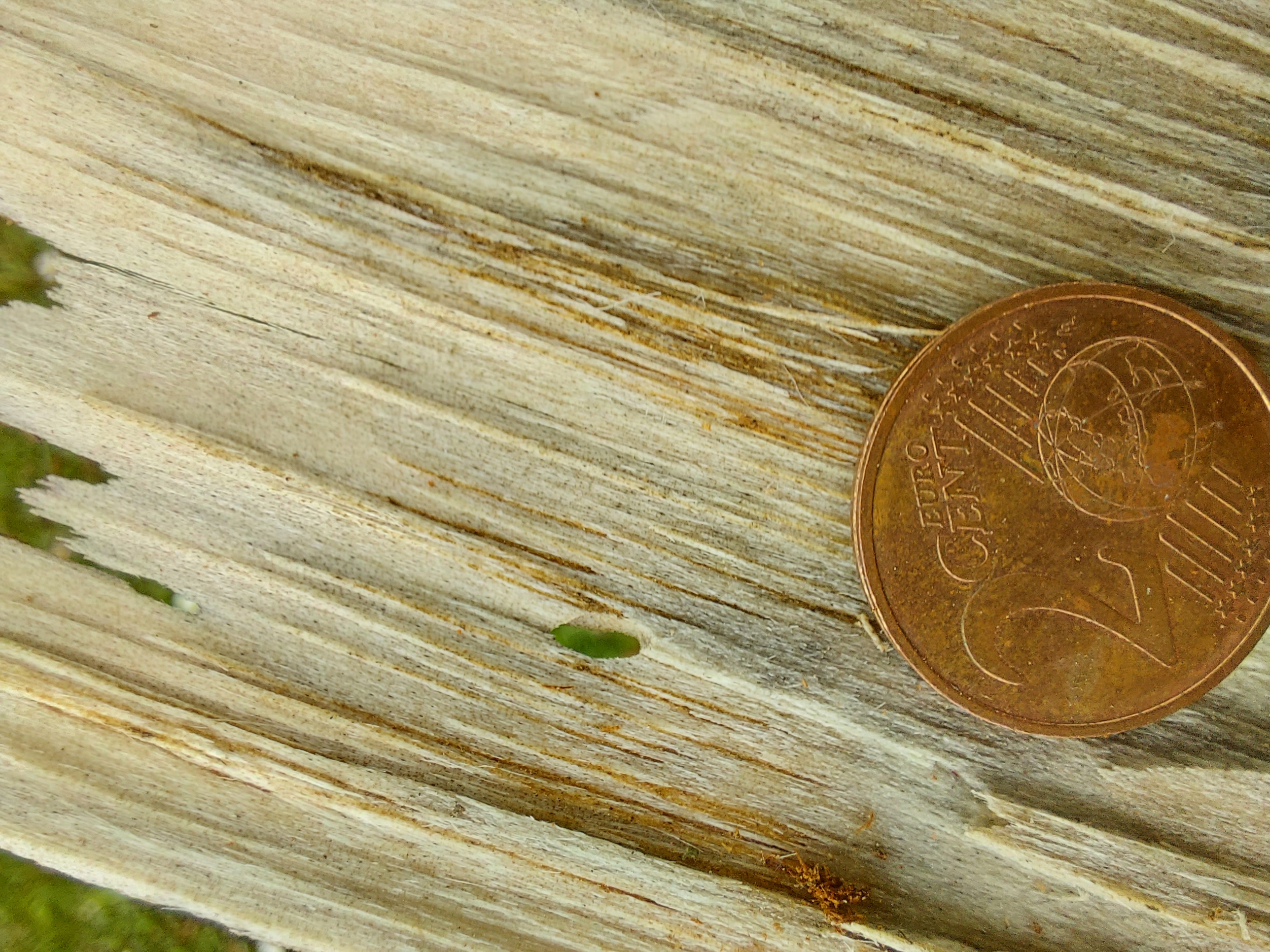 A - nejednoznačne určený, nie sme si istí