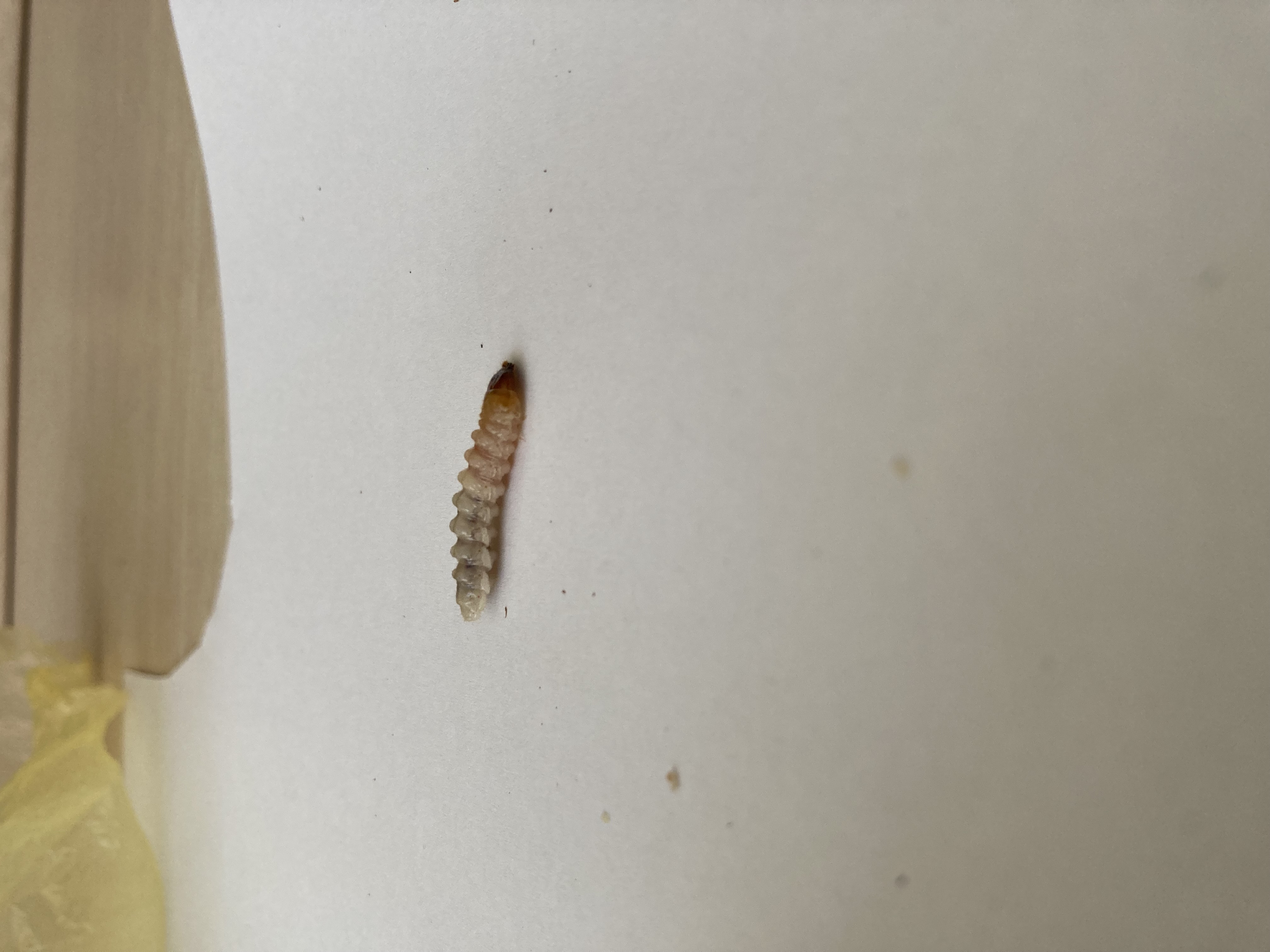 A - nejednoznačne určený, nie sme si istí