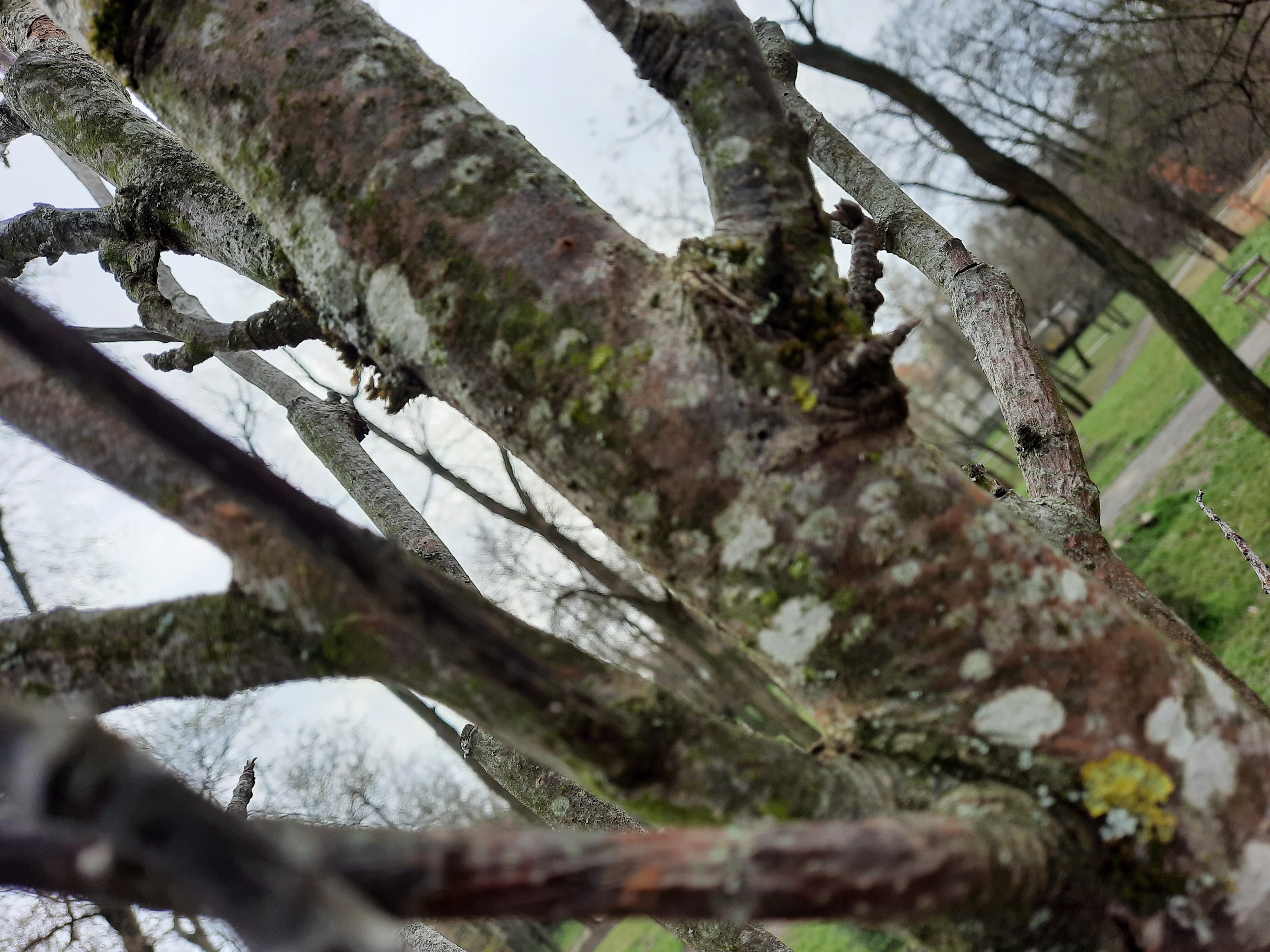 A - nejednoznačne určený, nie sme si istí