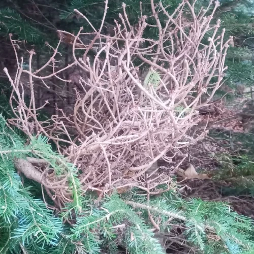 Slavomír Nábočík