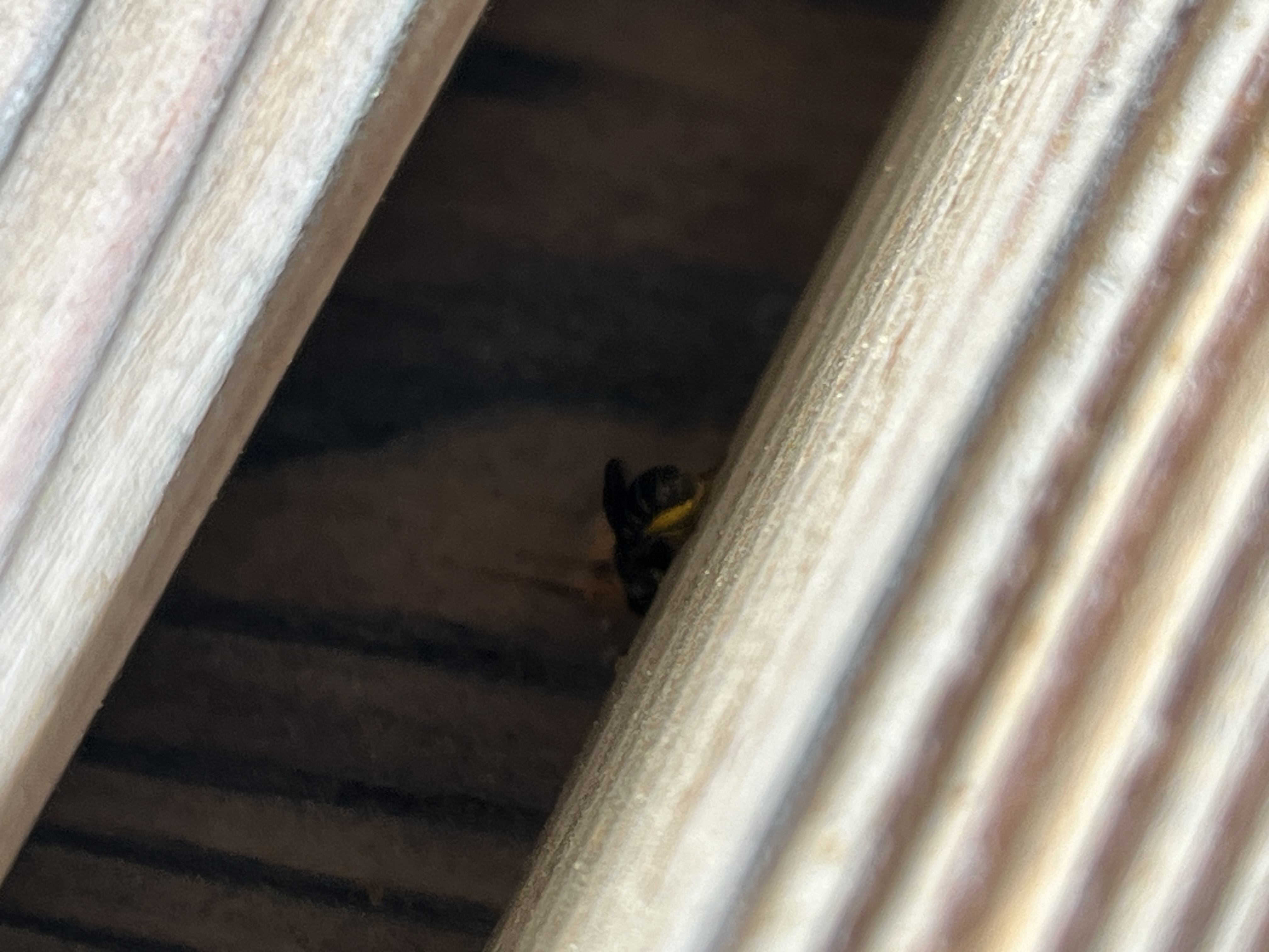 A - nejednoznačne určený, nie sme si istí