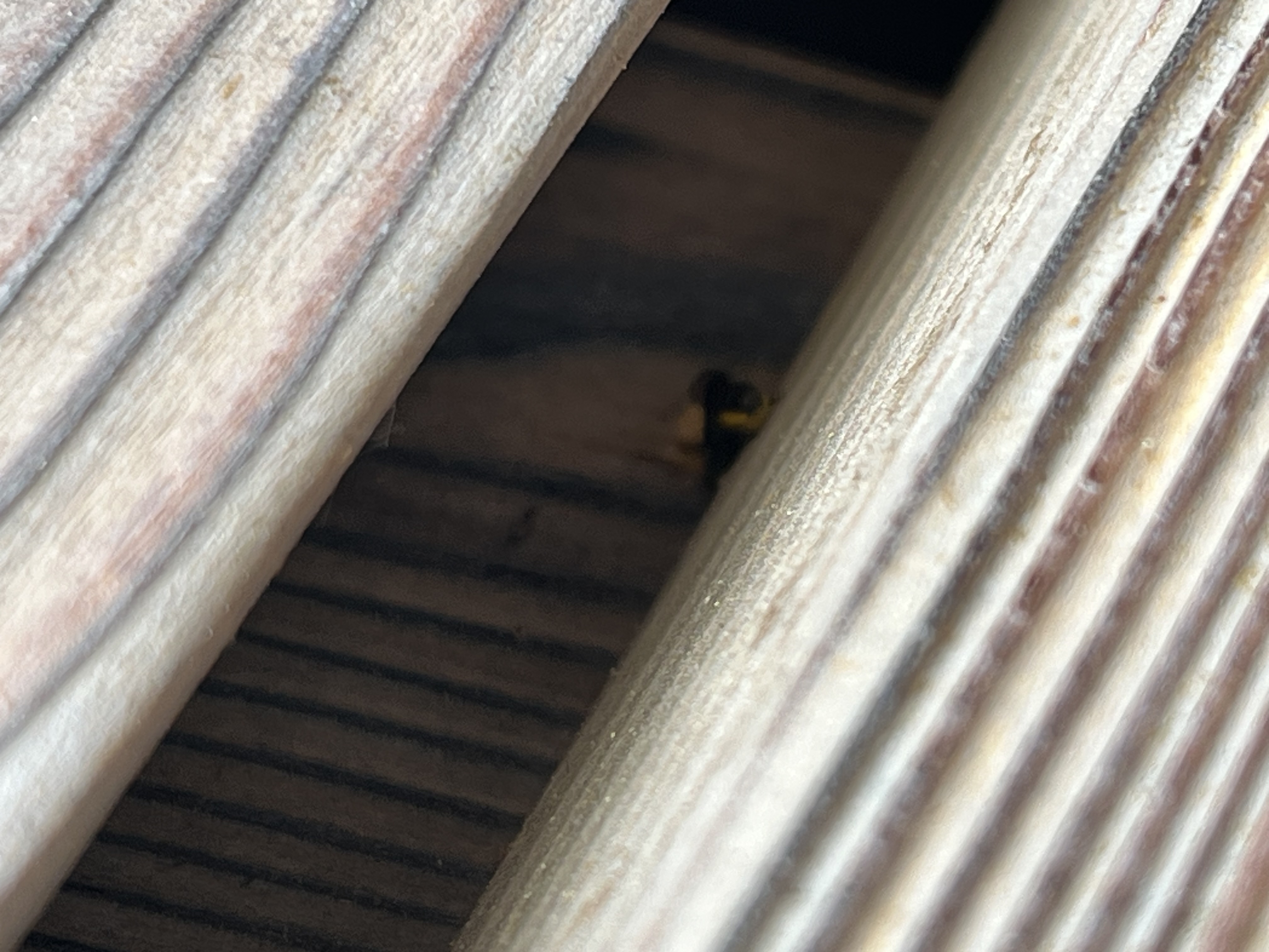 A - nejednoznačne určený, nie sme si istí