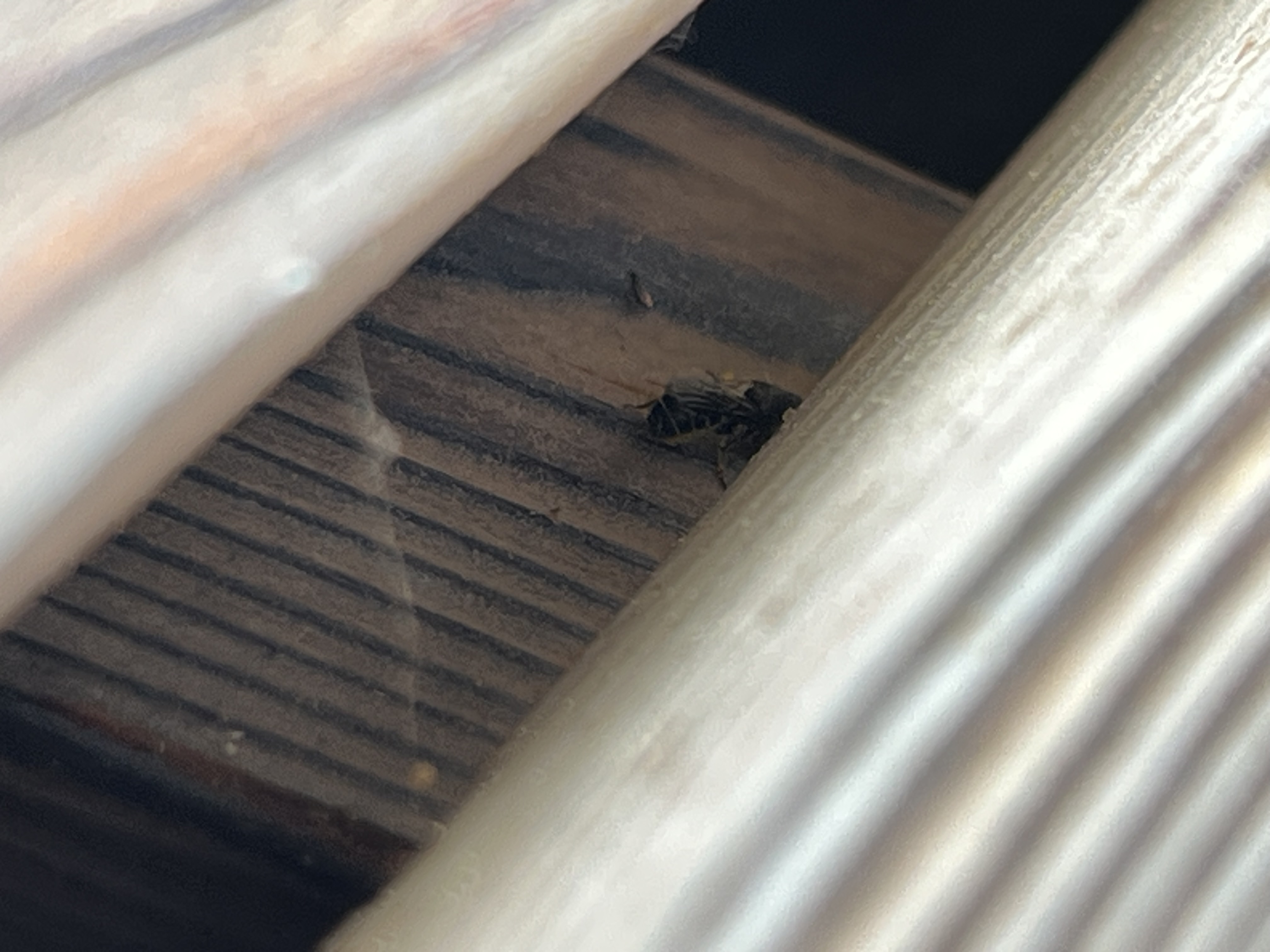 A - nejednoznačne určený, nie sme si istí