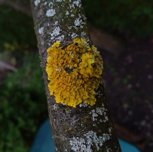 Martina Sucháňová 