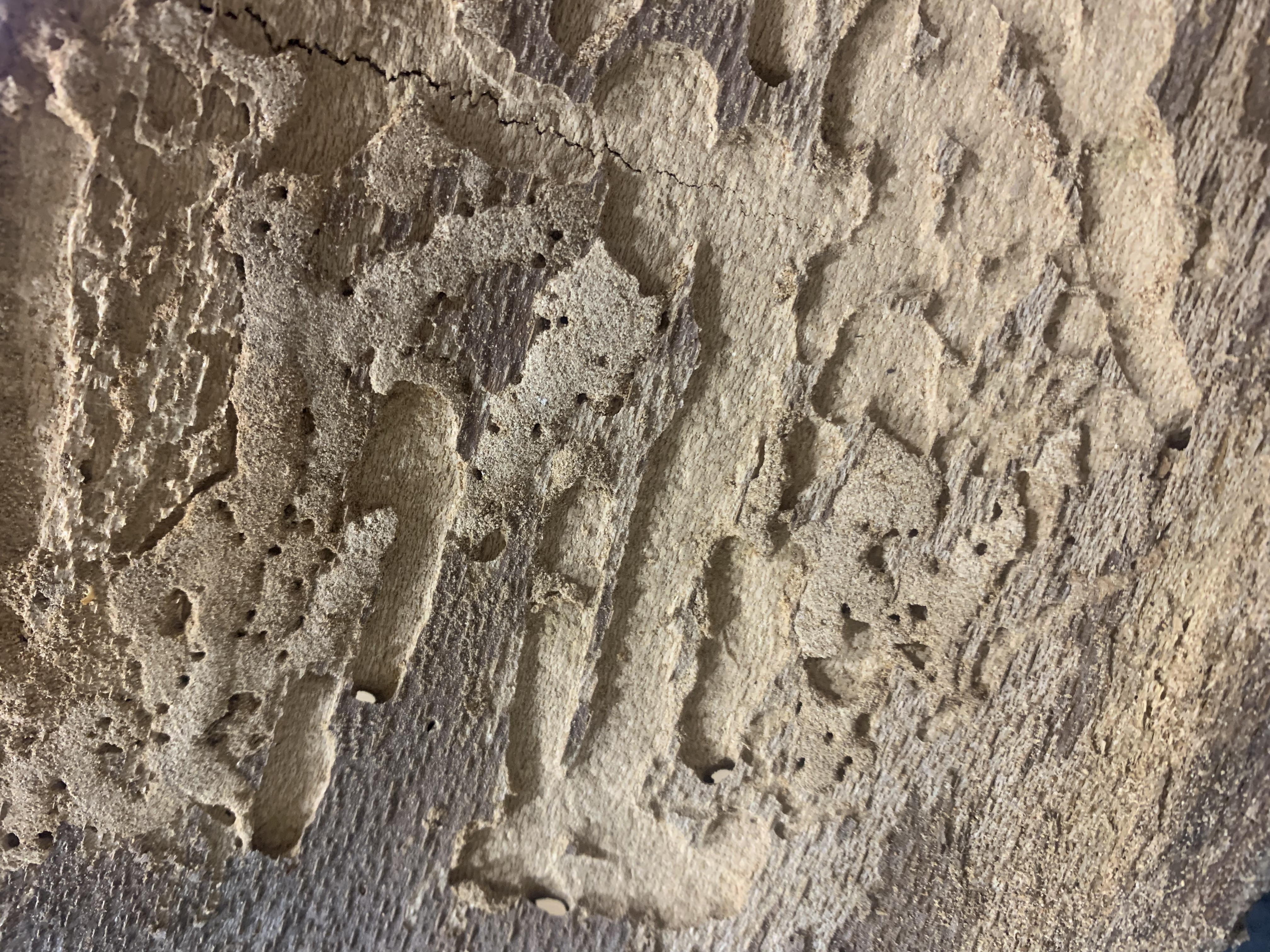 A - nejednoznačne určený, nie sme si istí