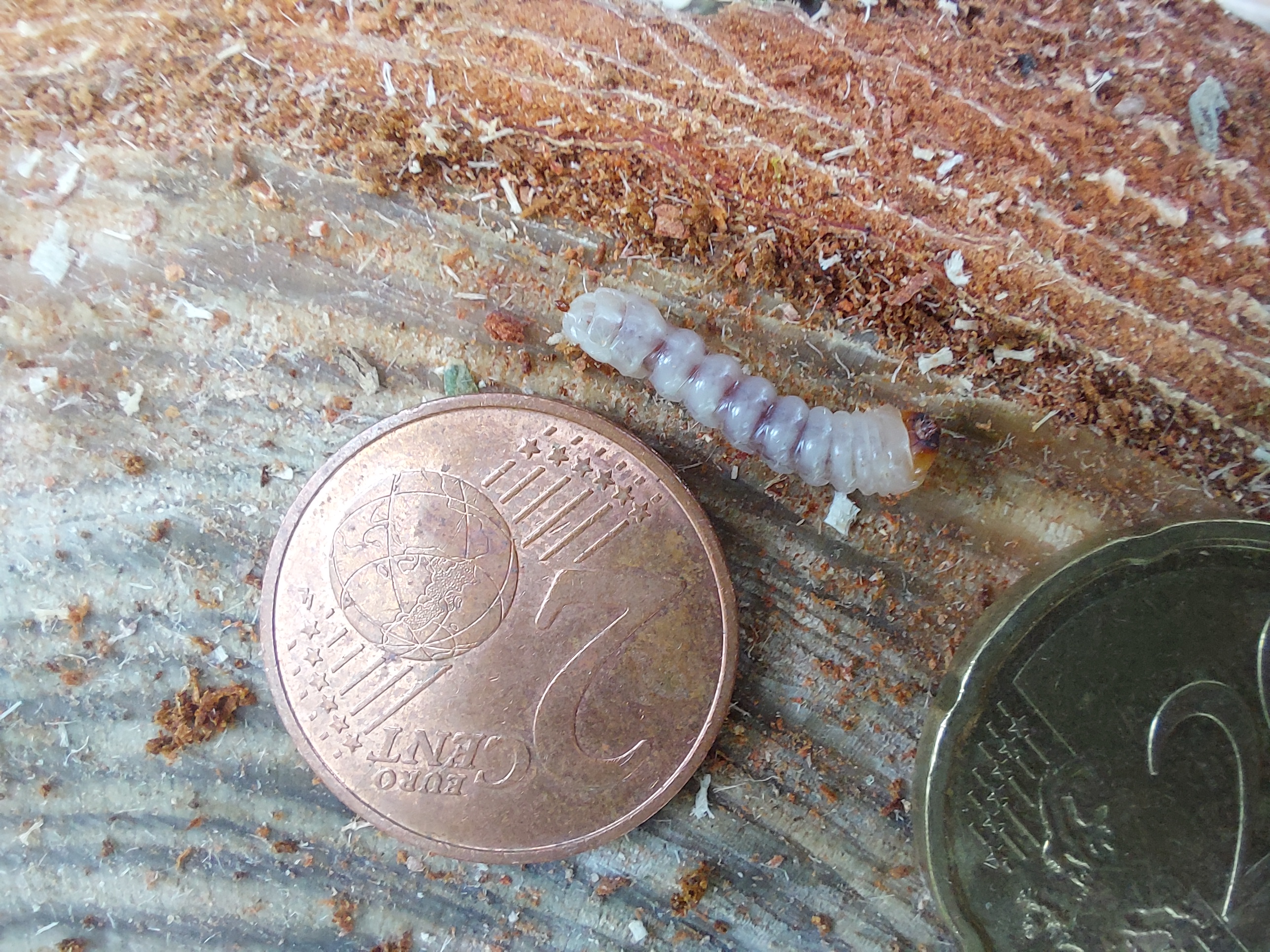 A - nejednoznačne určený, nie sme si istí