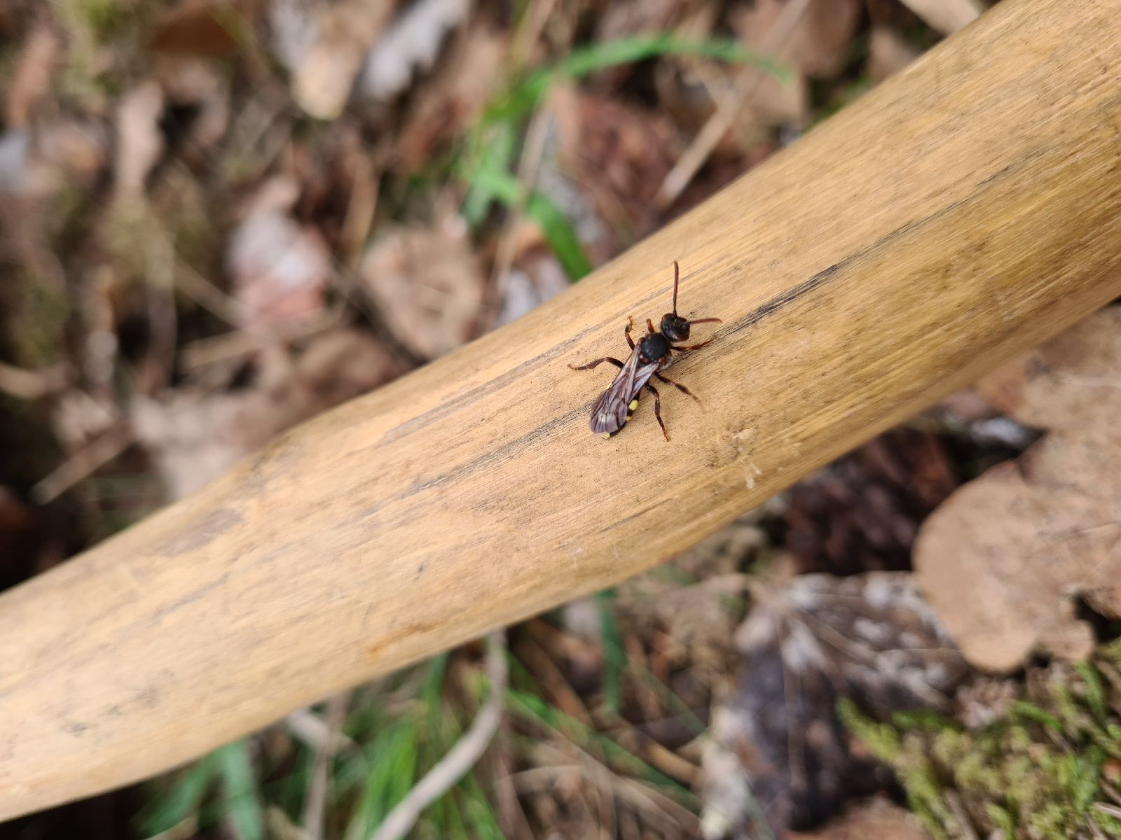 A - nejednoznačne určený, nie sme si istí