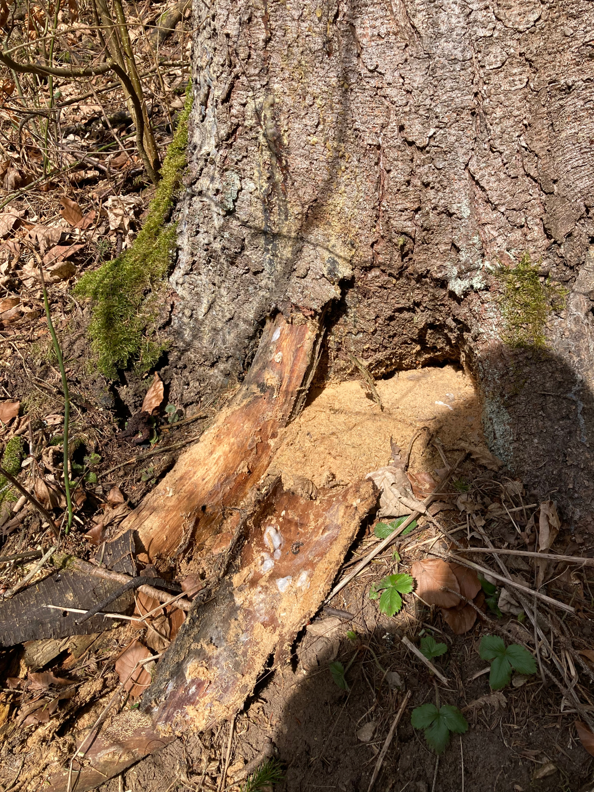 A - nie je v databáze