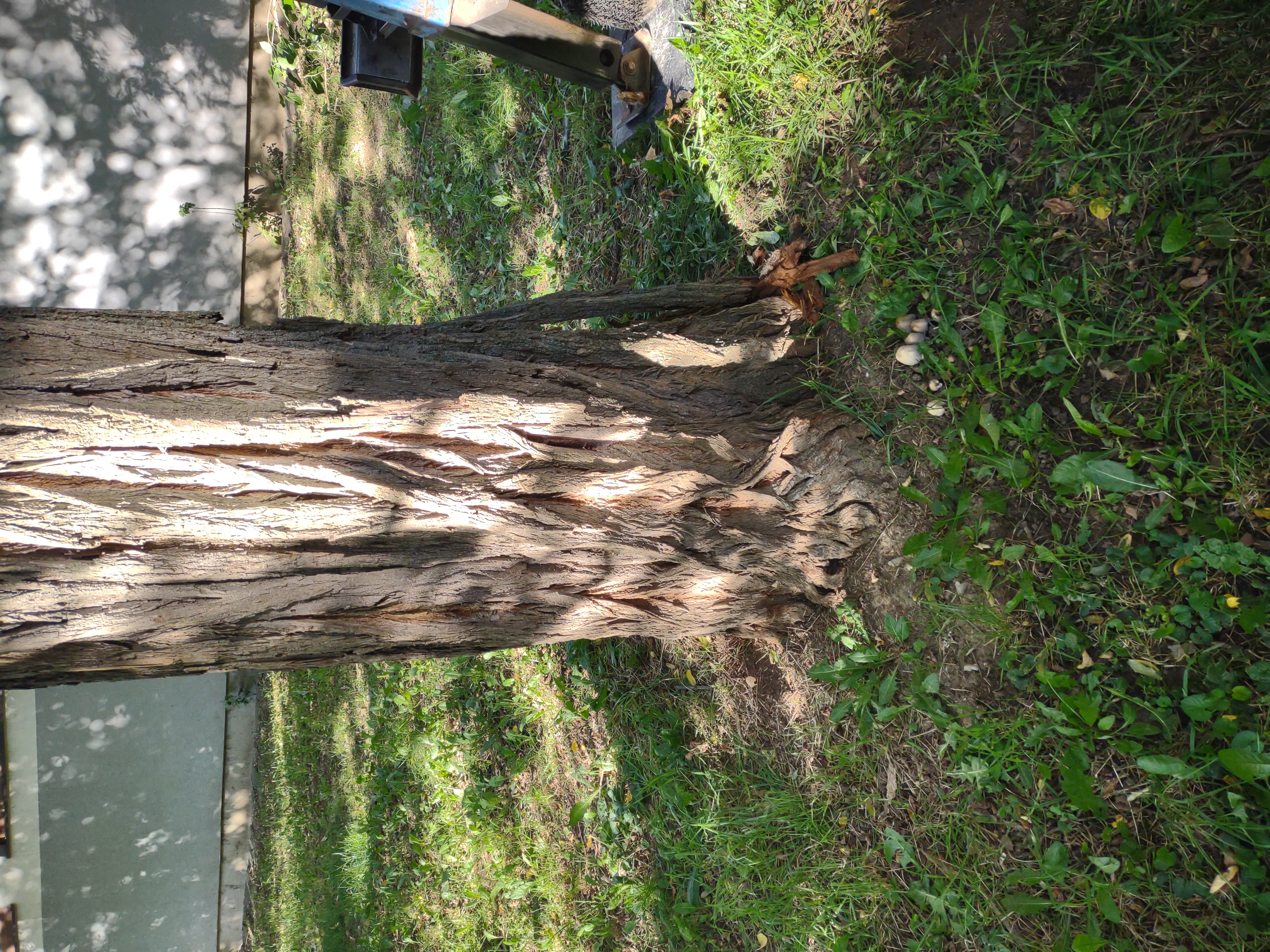 A - nie je v databáze