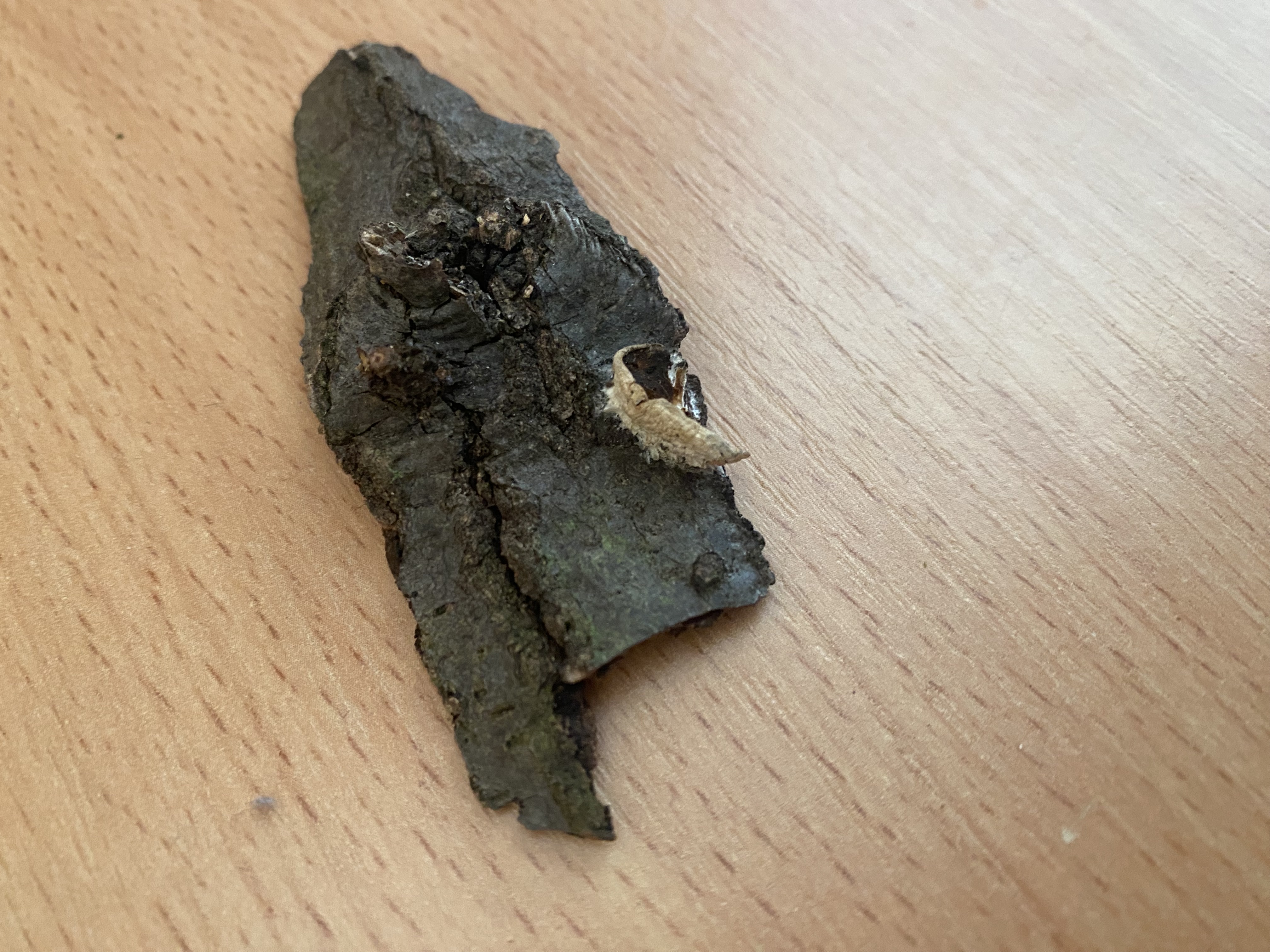 A - nejednoznačne určený, nie sme si istí