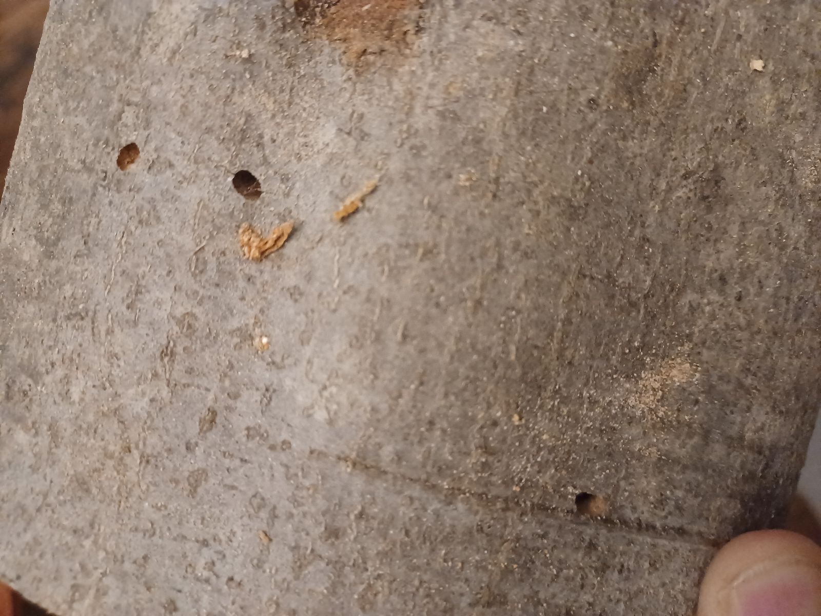 A - nejednoznačne určený, nie sme si istí