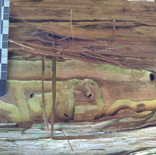 A - Ambiguously determined, we are not sure